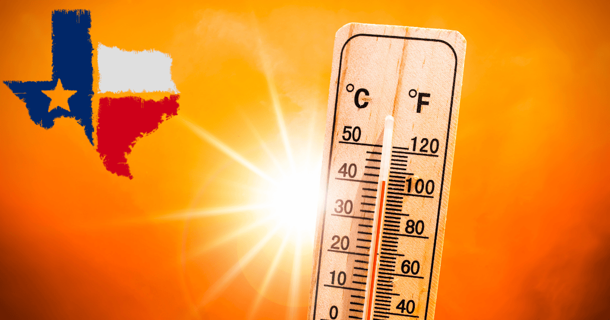Summer Maintenance Guide